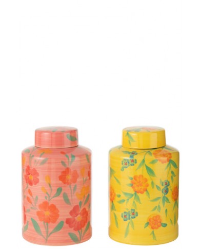 Jar Alegria Clay Mix Assortment Jolipa