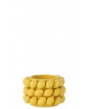 Flowerpot Lemons Jolipa