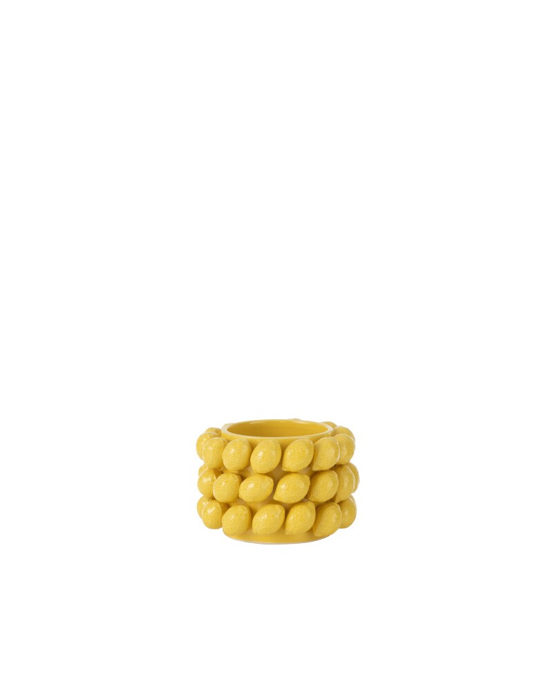 Flowerpot Lemons Jolipa